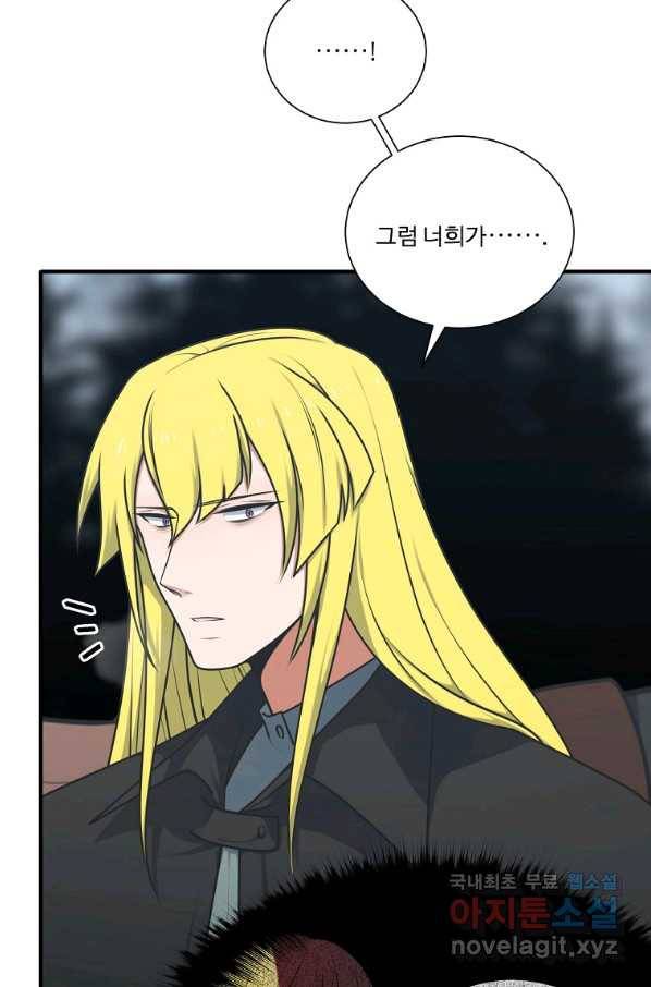 정령왕 엘퀴네스 234화 17