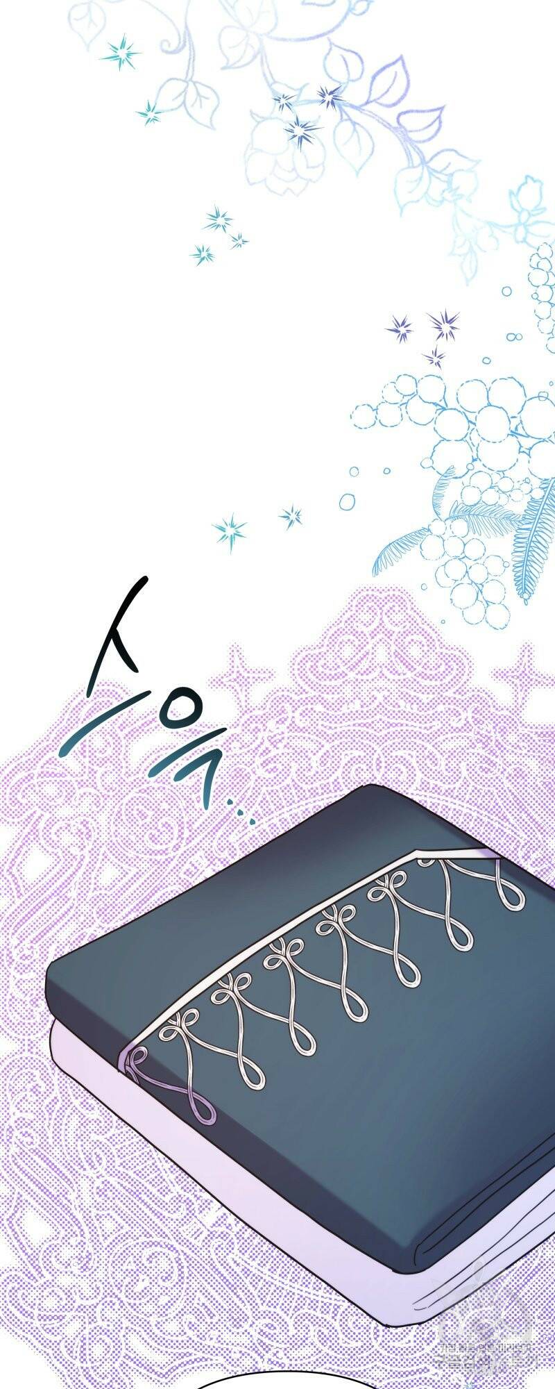 아무튼 로판 맞습니다 외전. 마누스와 리베르上 14