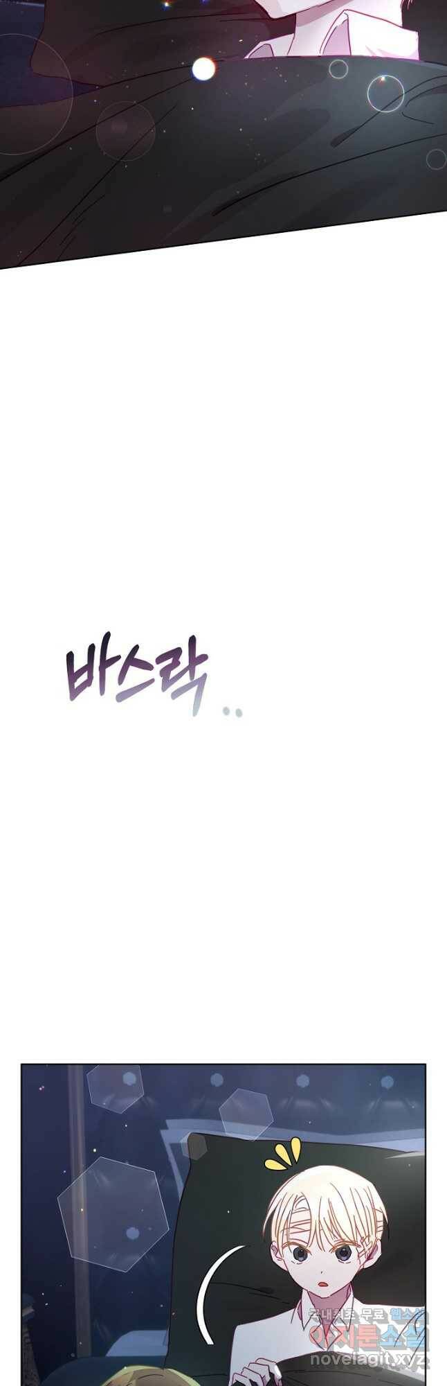 흑막 남편과의 이혼에 실패한 것 같다 26화 11