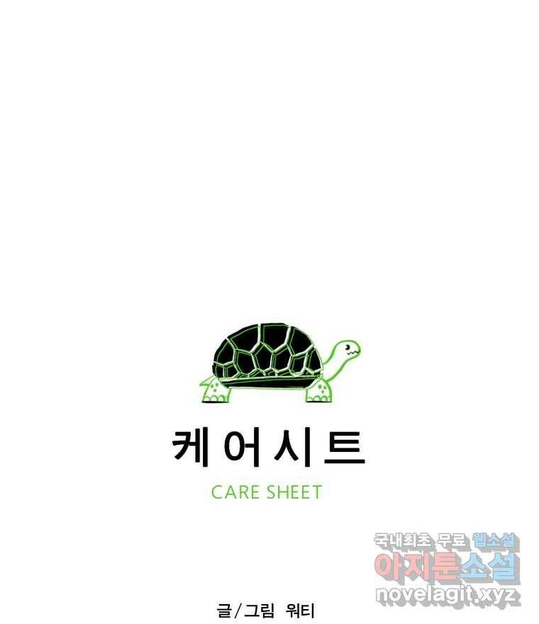 케어시트 후기 19