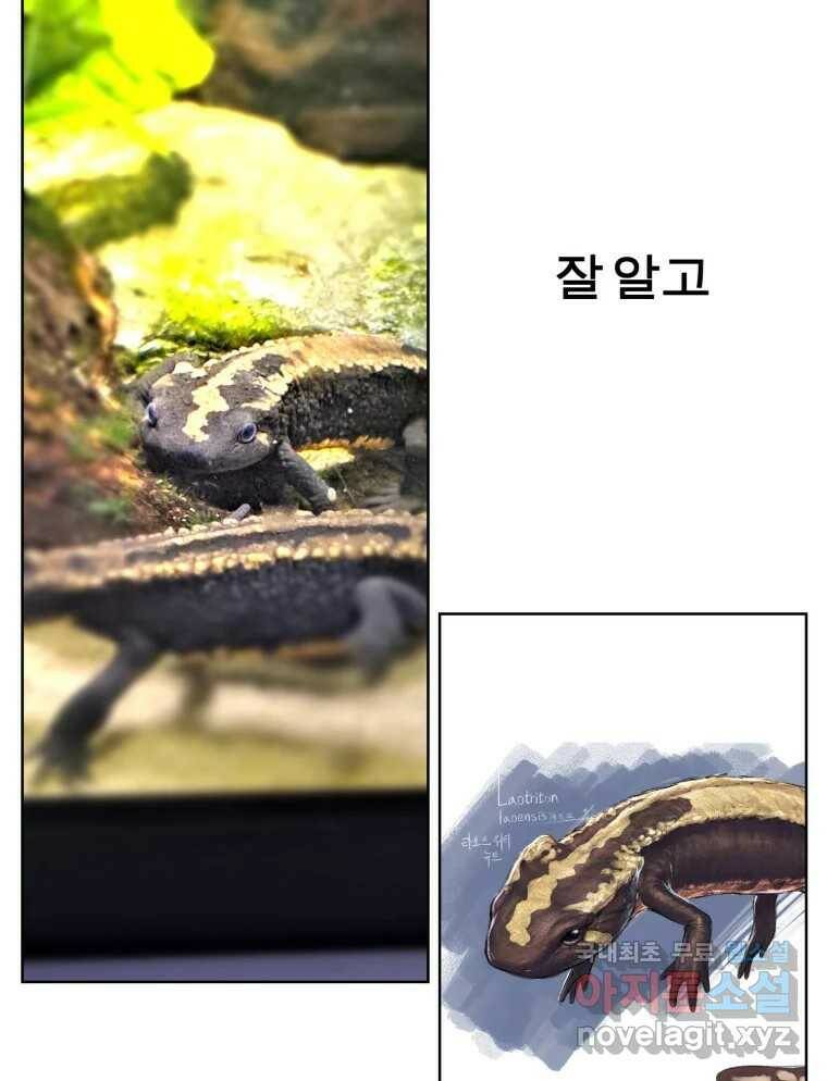 케어시트 후기 31