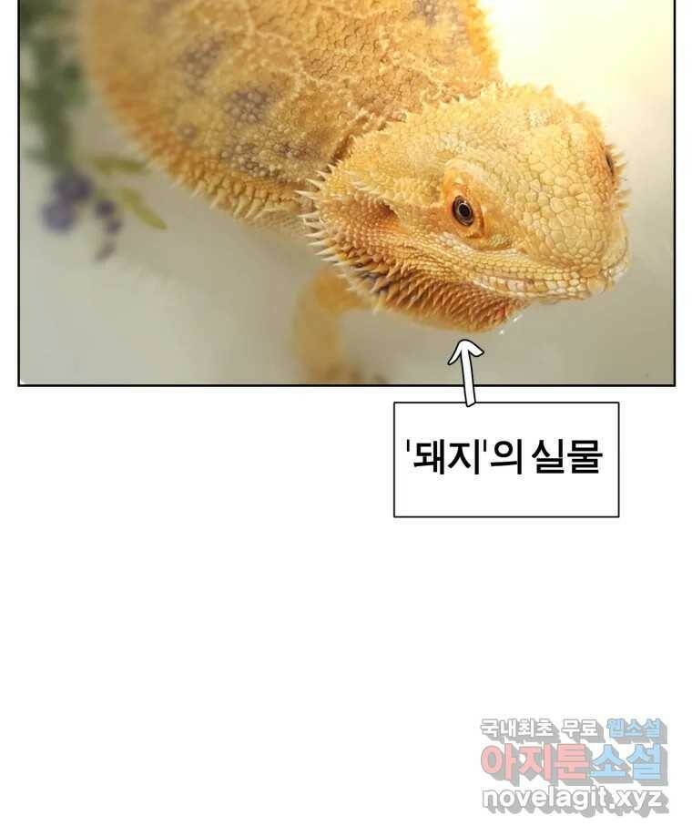 케어시트 후기 72