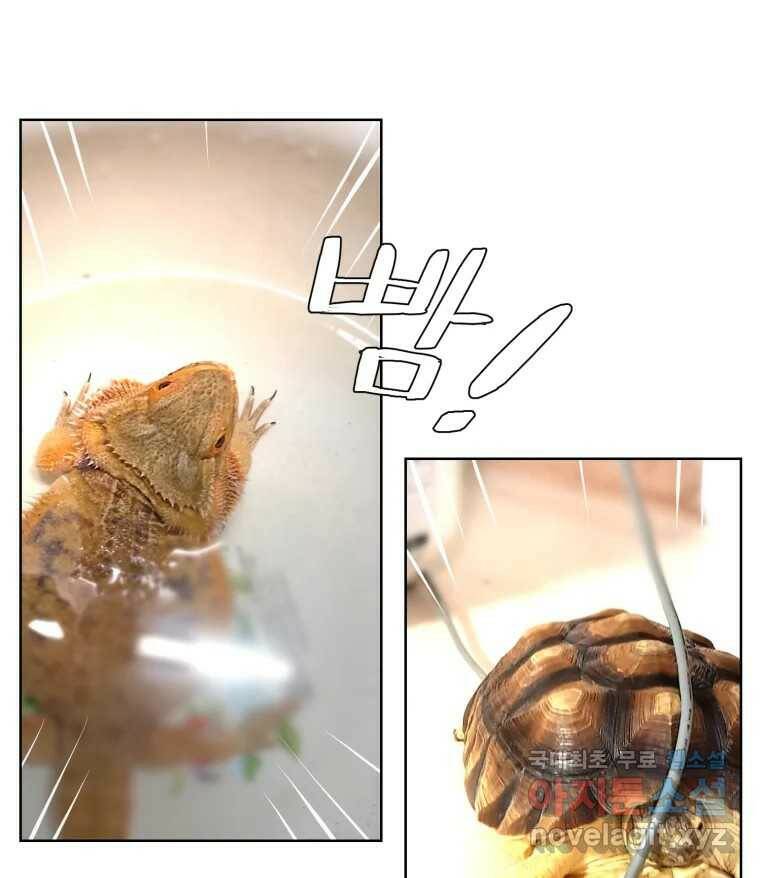 케어시트 후기 78