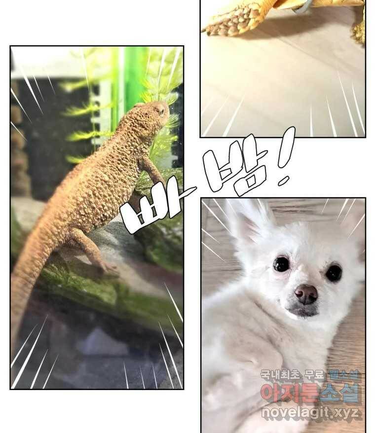 케어시트 후기 79