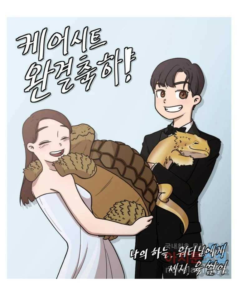 케어시트 후기 91