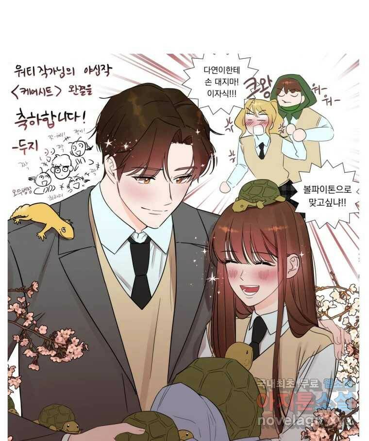 케어시트 후기 93