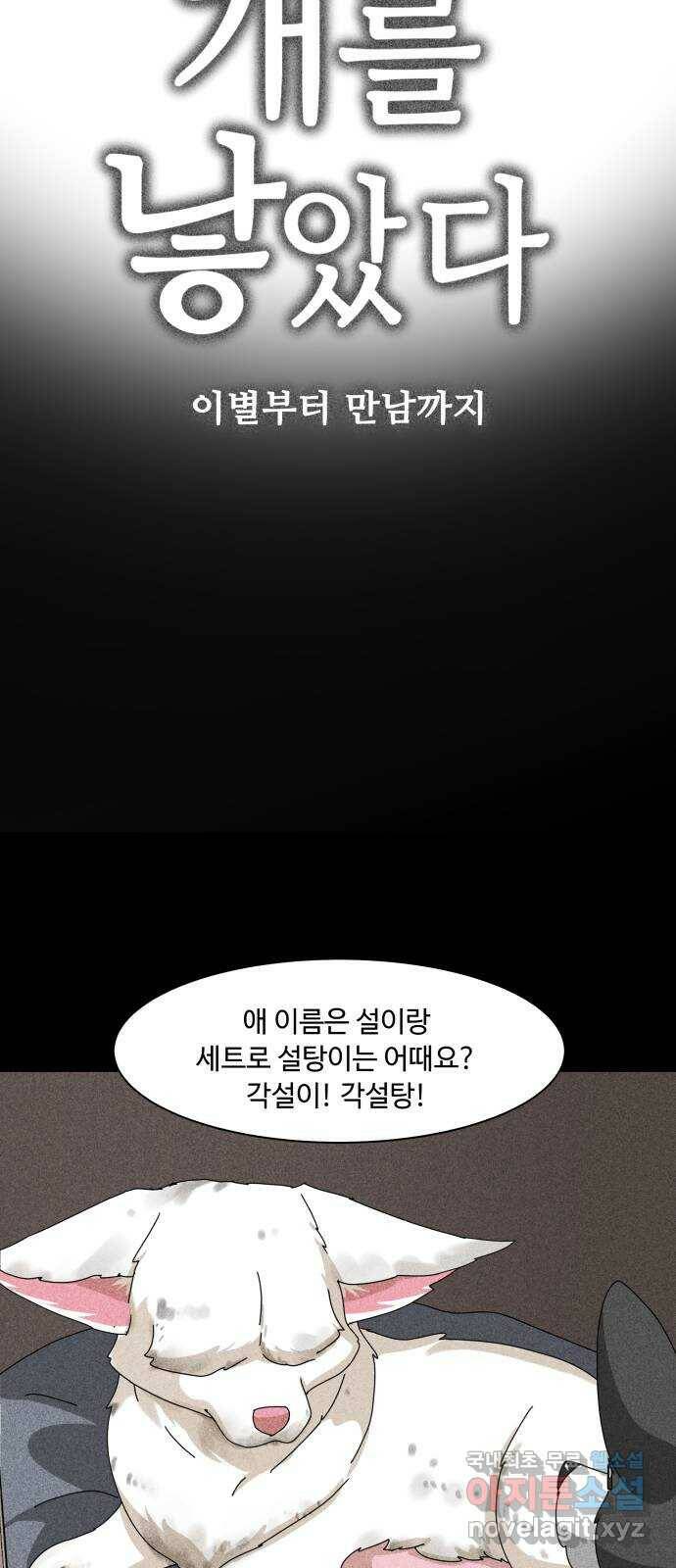 개를 낳았다 시즌2 121화 5