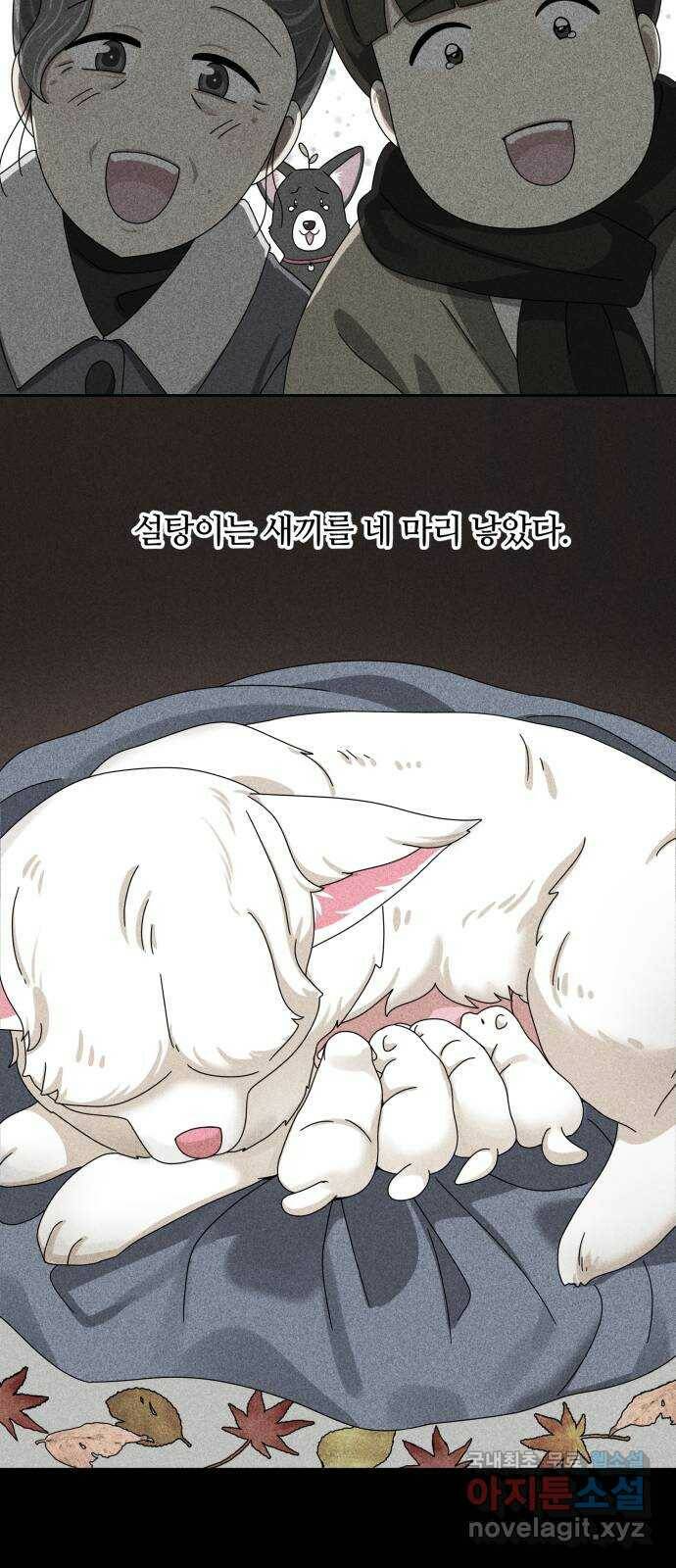 개를 낳았다 시즌2 121화 10