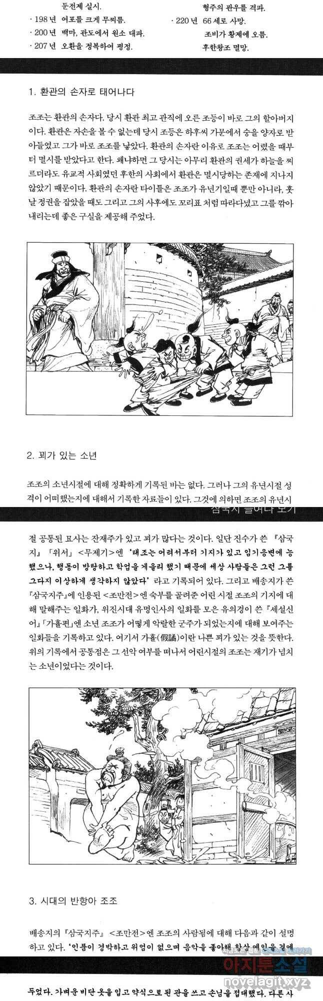 박봉성 삼국지 4부 10권 82