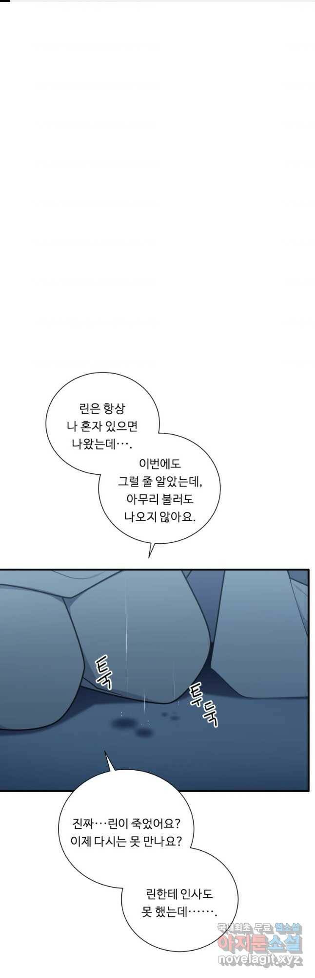정령왕 엘퀴네스 240화 1