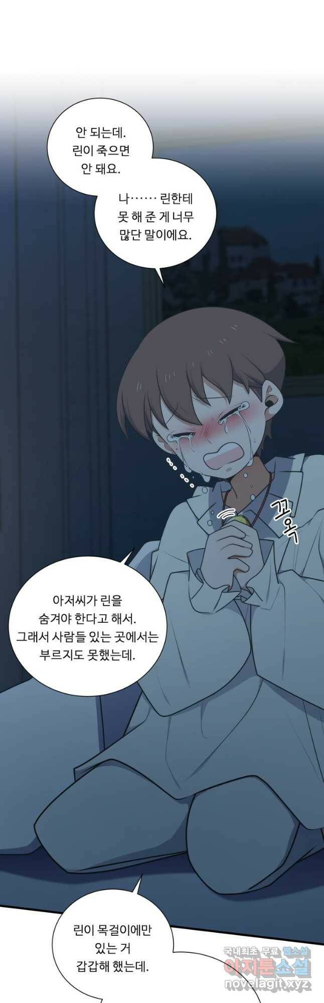 정령왕 엘퀴네스 240화 3