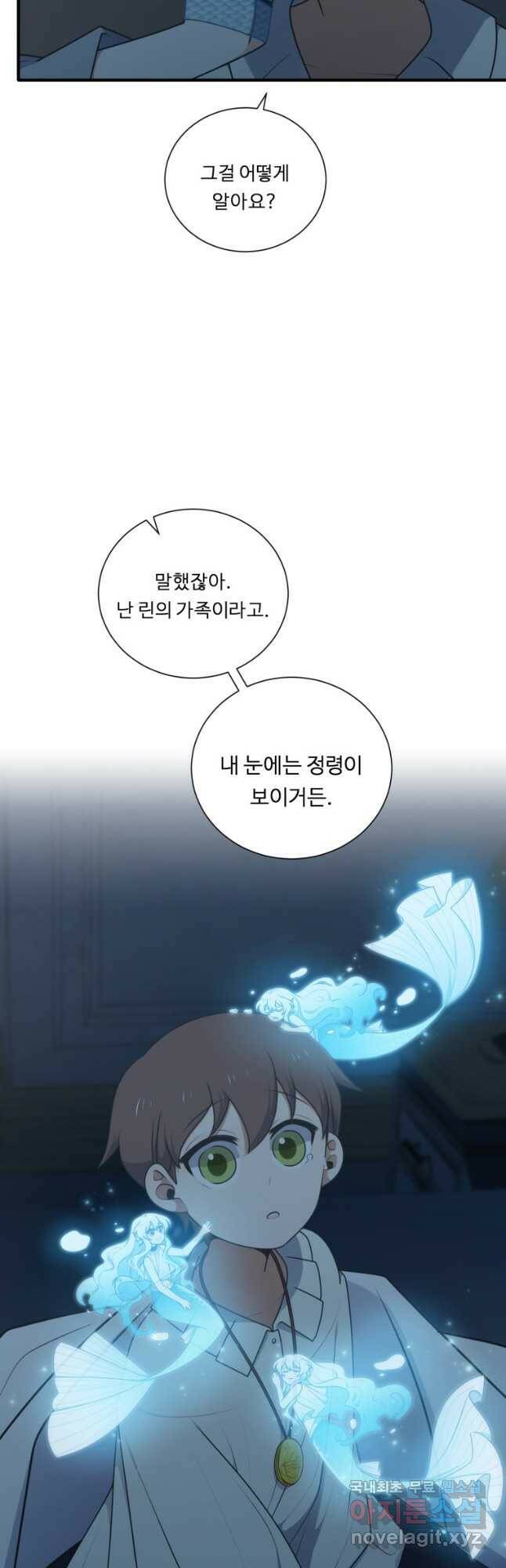정령왕 엘퀴네스 240화 6