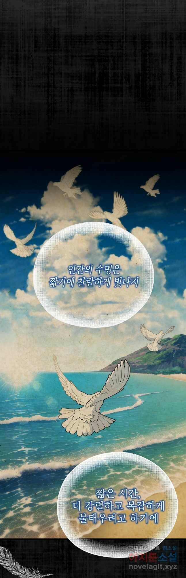아델린의 깊은 밤 26화 2