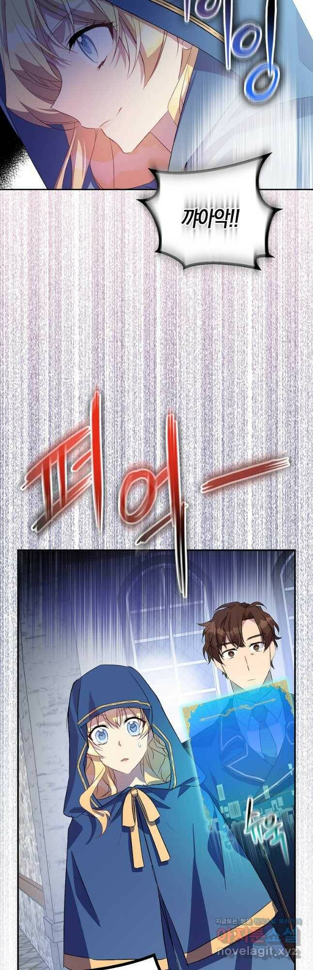 가짜 성녀인데 신들이 집착한다 27화 6