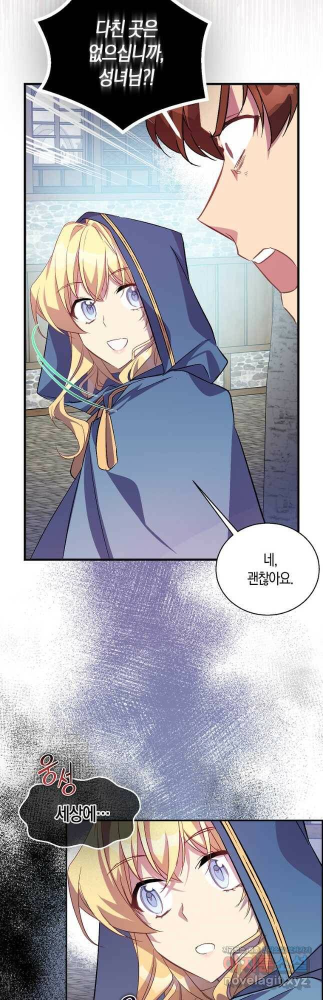 가짜 성녀인데 신들이 집착한다 27화 10