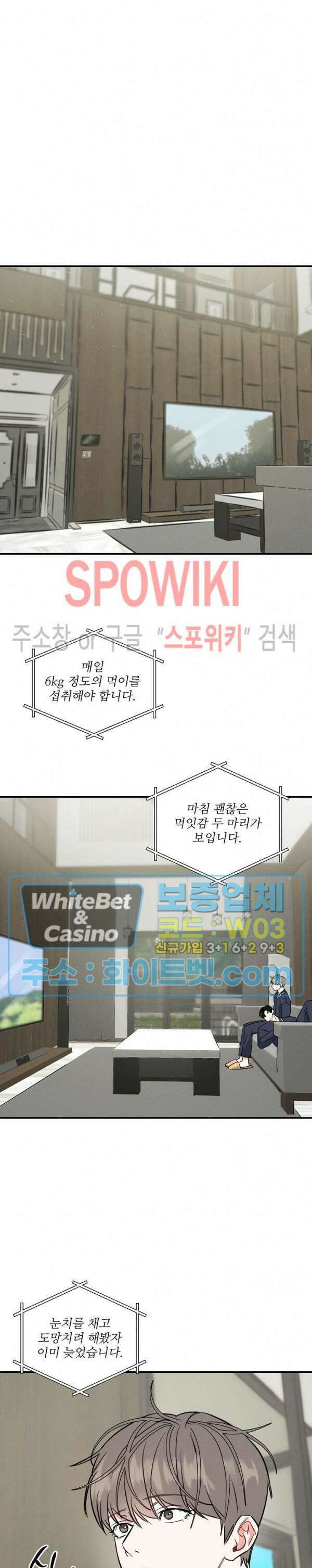 밤의 해 13화 5