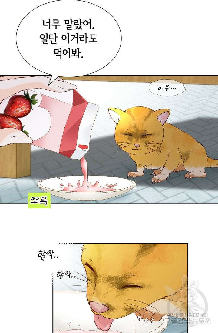 누구의 아이를 낳을까 137화 96