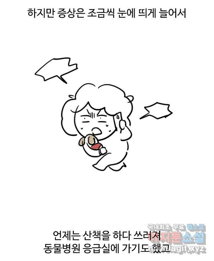 독립일기 무지개다리 4