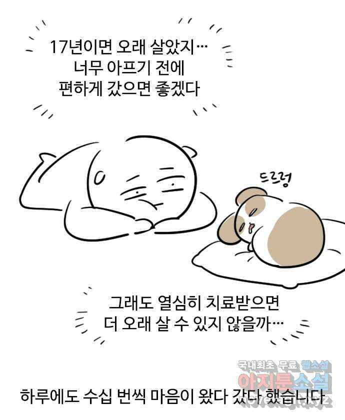 독립일기 무지개다리 6
