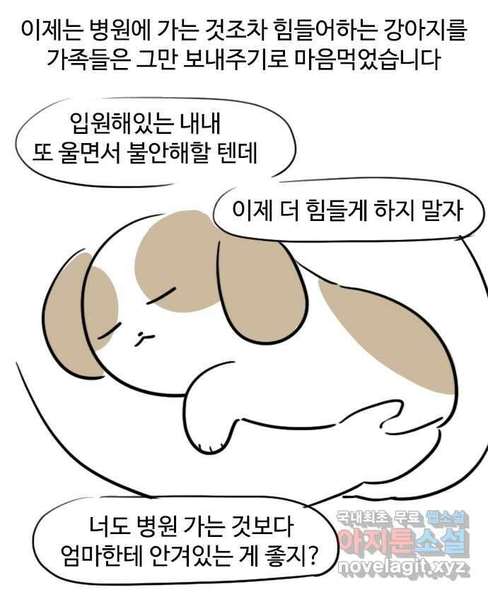 독립일기 무지개다리 9