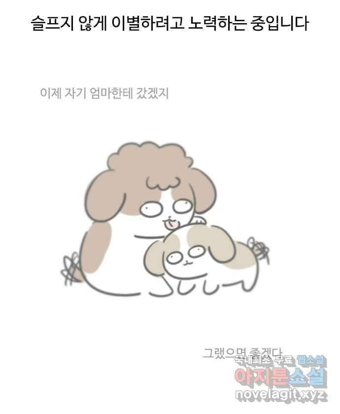 독립일기 무지개다리 15