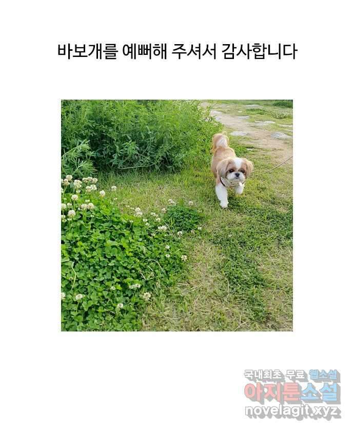 독립일기 무지개다리 17