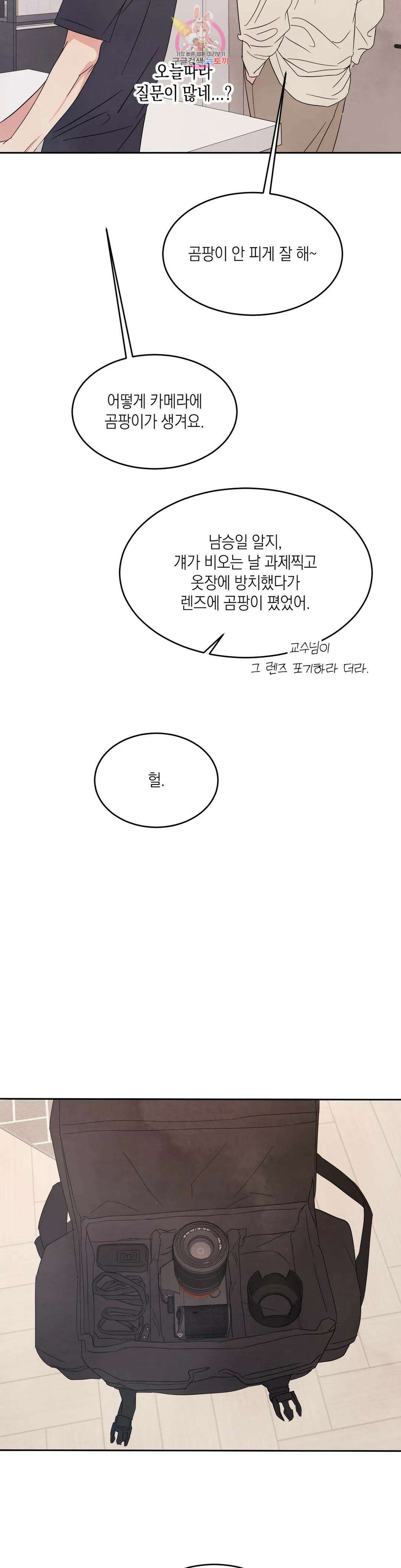 그놈은 공이었다 73화 12