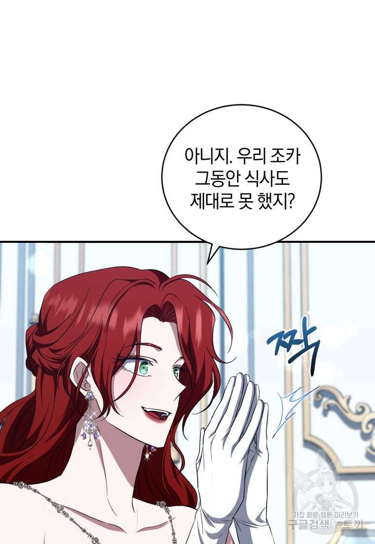 빼앗긴 가문의 주인이 되려 합니다 17화 31