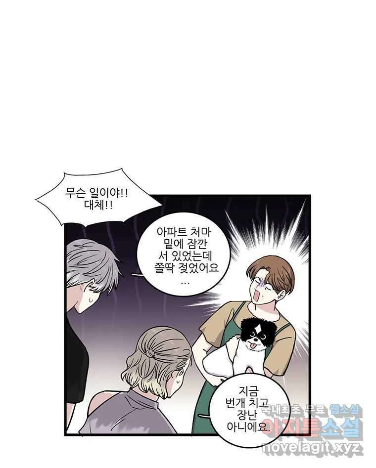 순정 히포크라테스 시즌5 11화 2