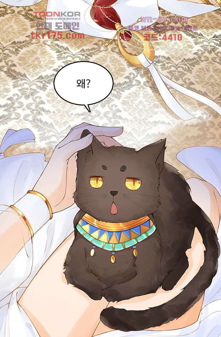 돌아오세요, 왕비님 1화 27