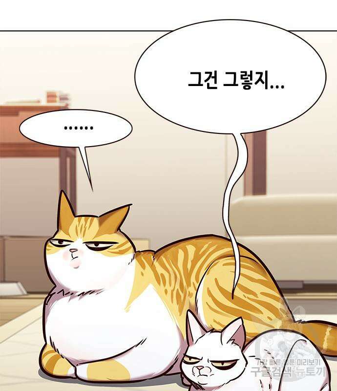 일렉시드 227화 6