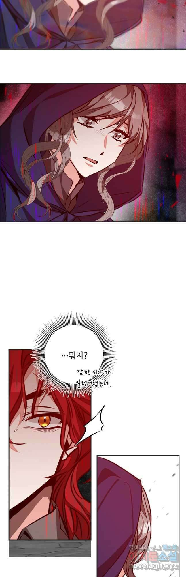 소설 속 악녀 황제가 되었다 141화 29