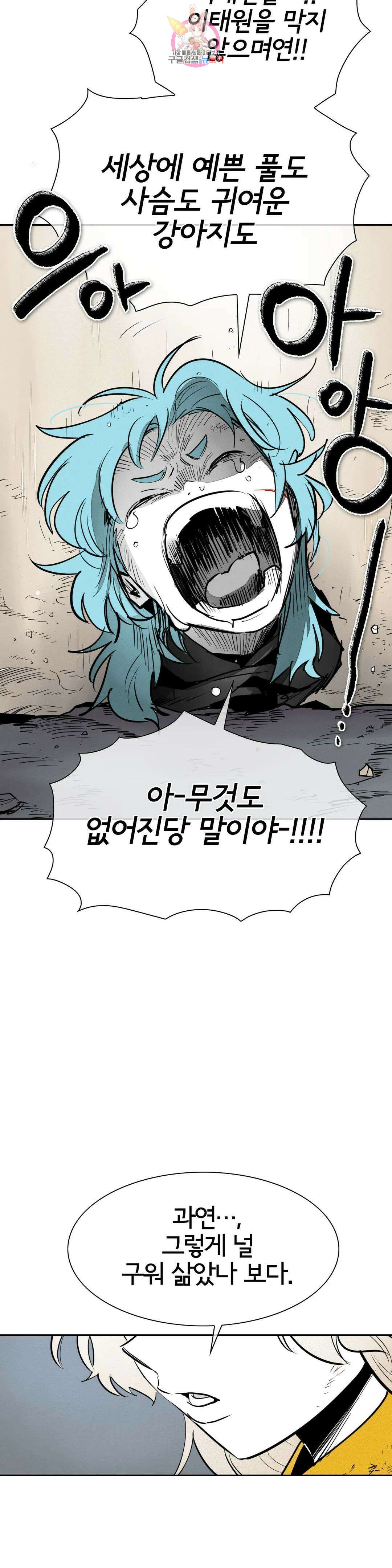 표준규격전사 244화 8