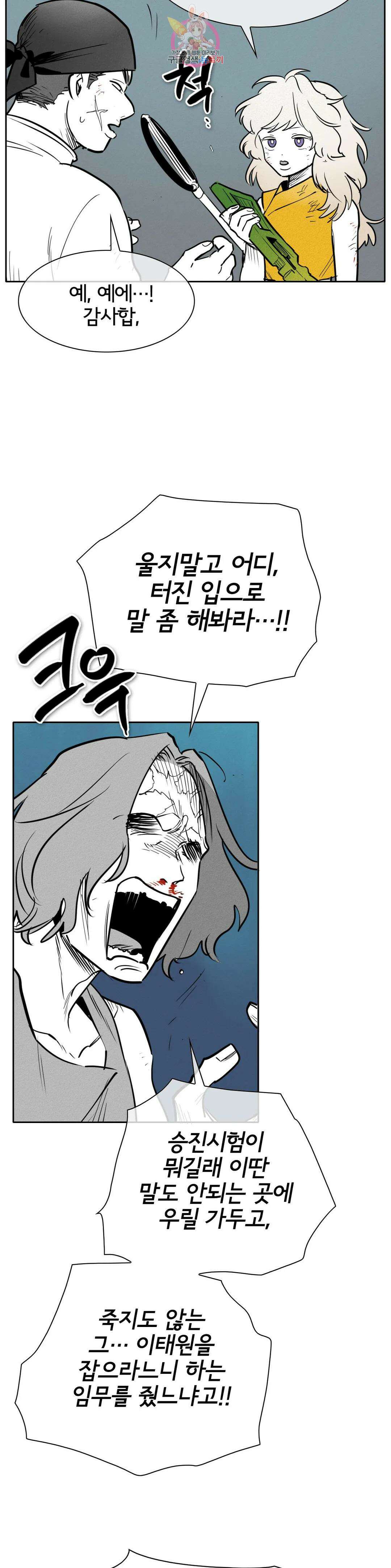 표준규격전사 244화 10