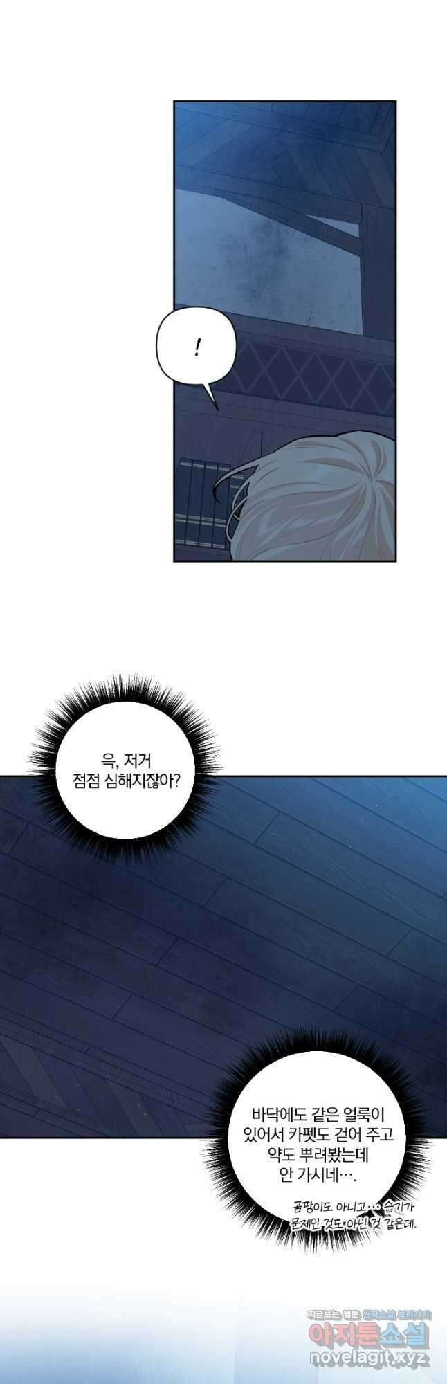 TL 소설 속 시녀가 되었습니다 76화 25