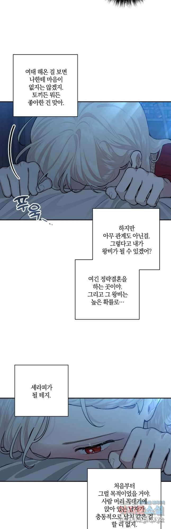 TL 소설 속 시녀가 되었습니다 76화 29