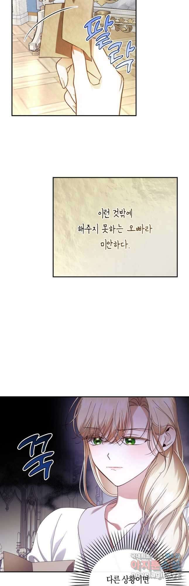 황제의 아이를 숨기는 방법 54화 8