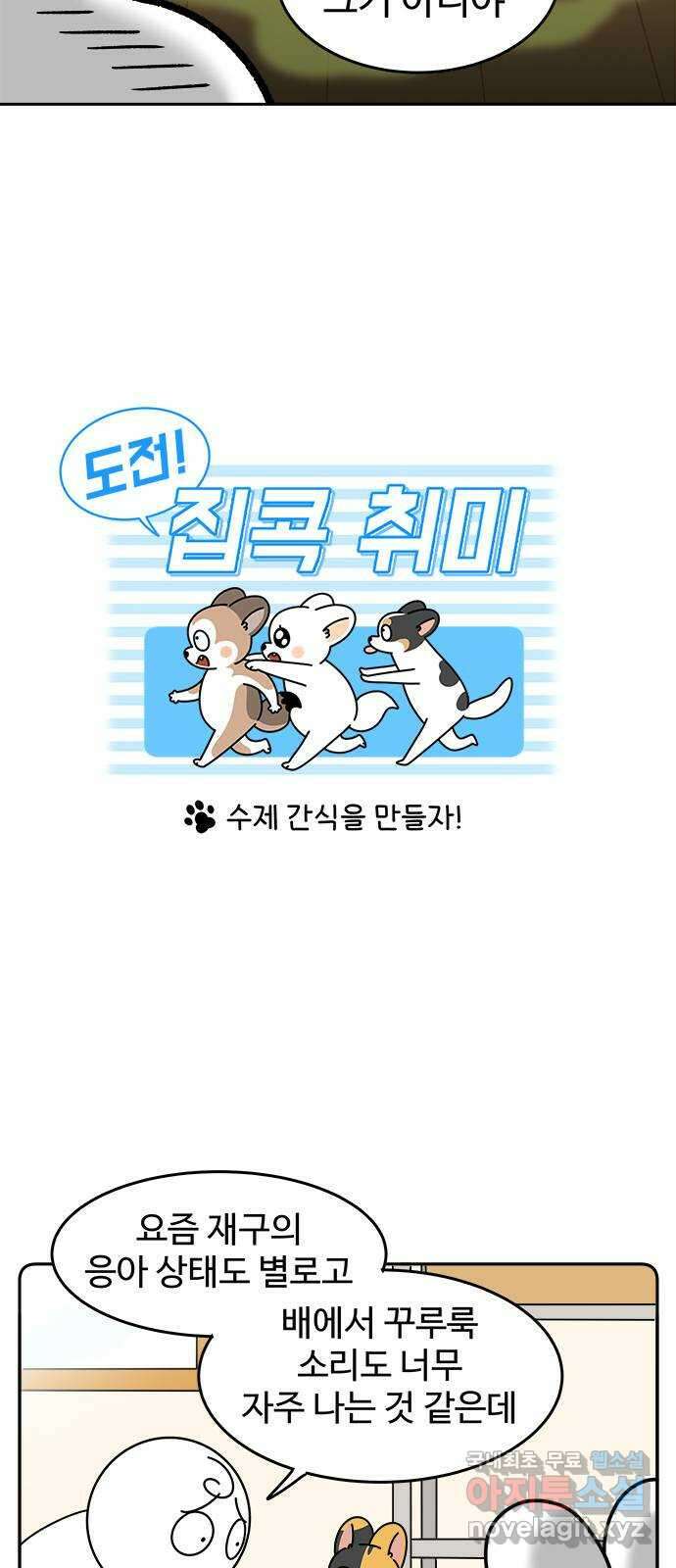 도전! 집콕취미 6화) 수제 간식을 만들자! 3