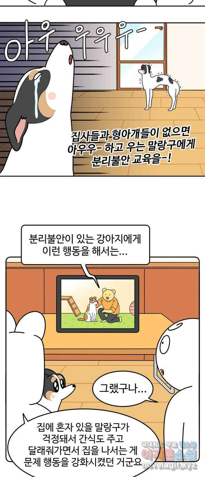 도전! 집콕취미 6화) 수제 간식을 만들자! 12