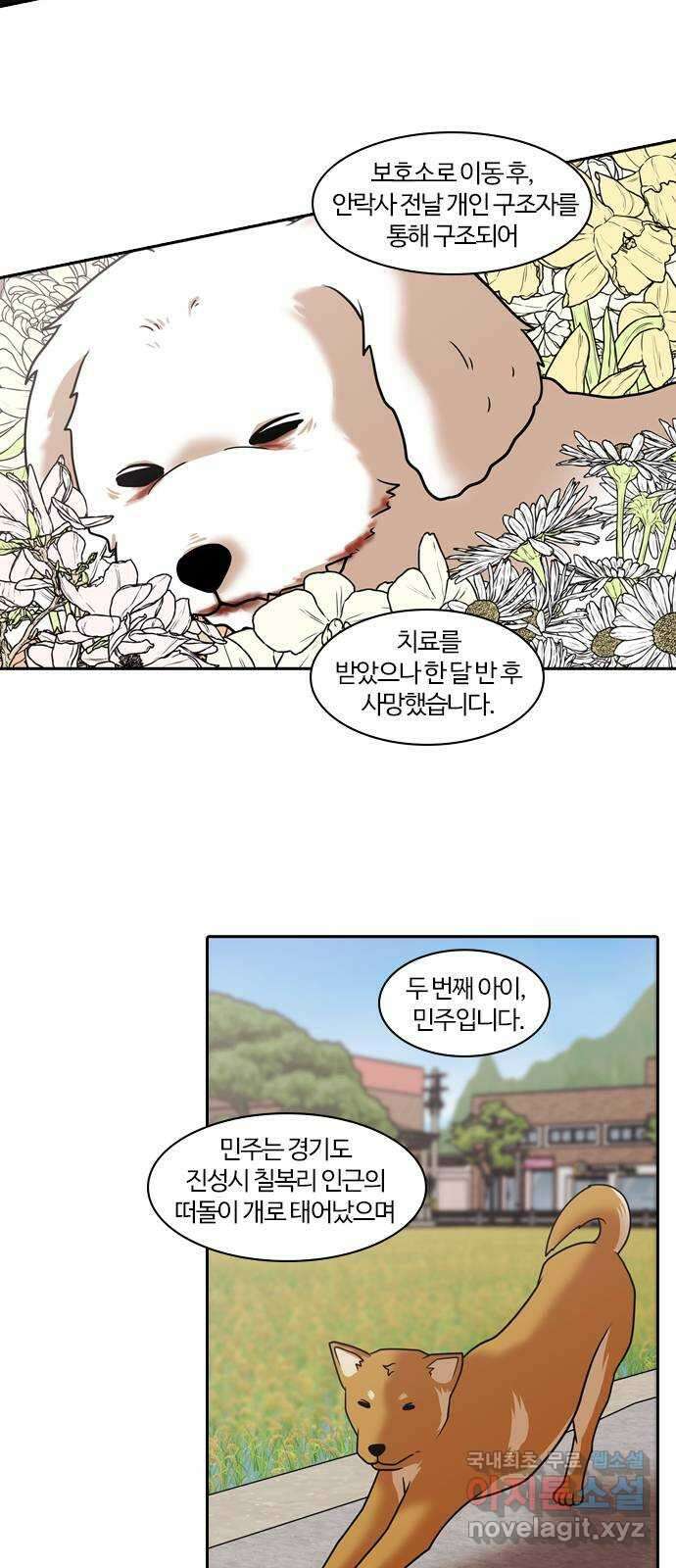 내일 285화 남아주세요 (4) 35