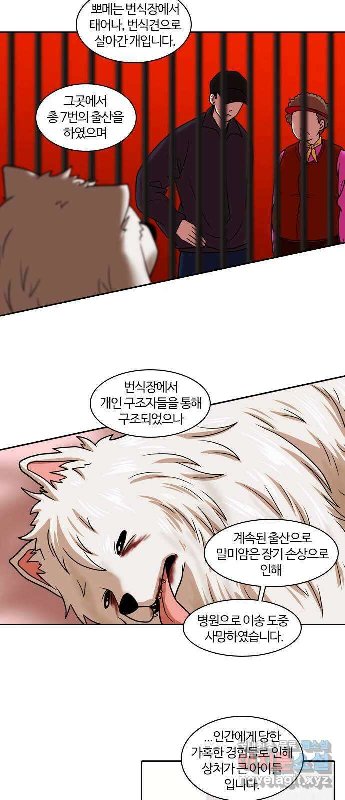 내일 285화 남아주세요 (4) 39