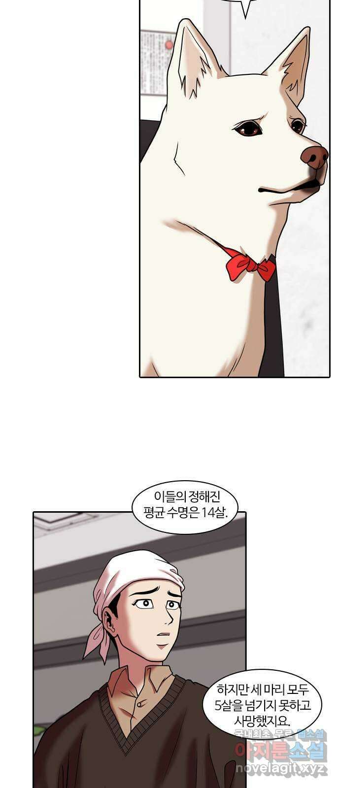 내일 285화 남아주세요 (4) 40