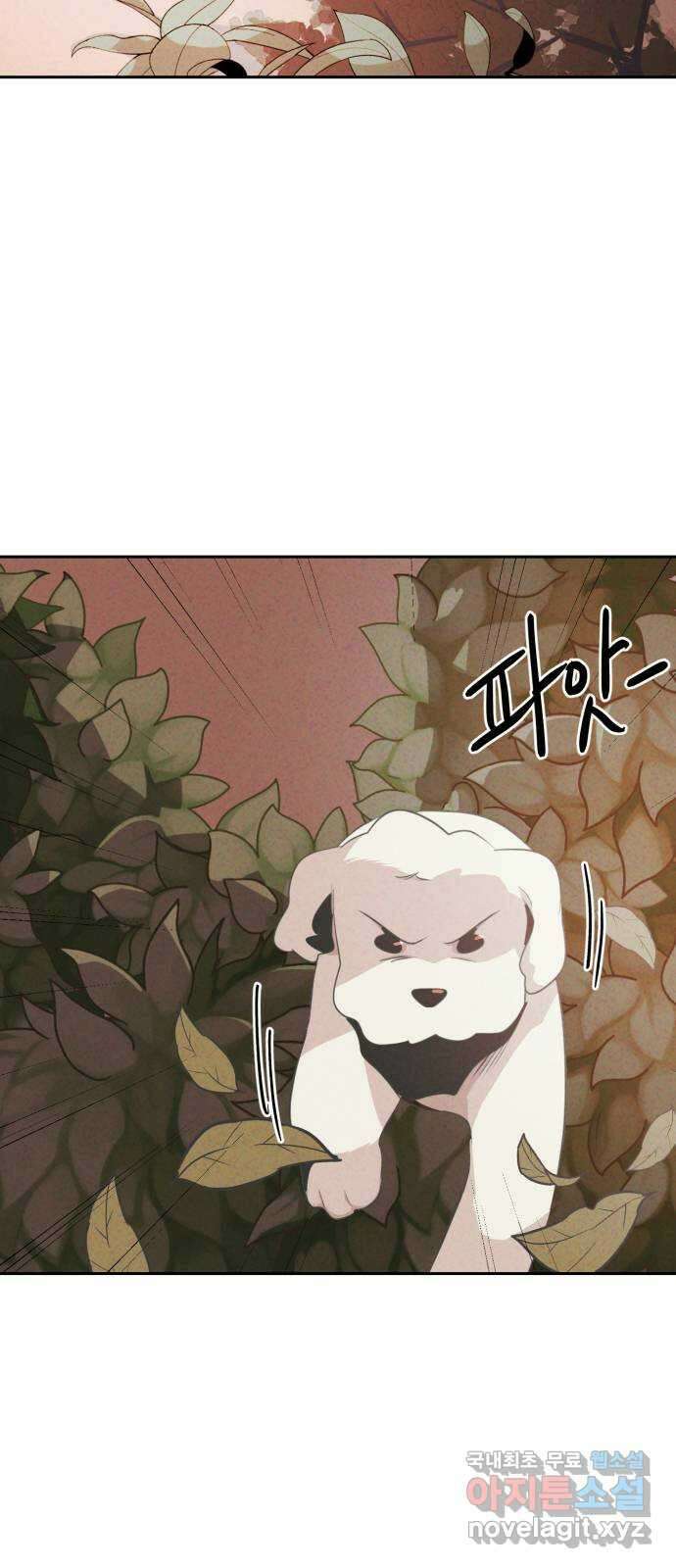 개와 사람의 시간 37화 7