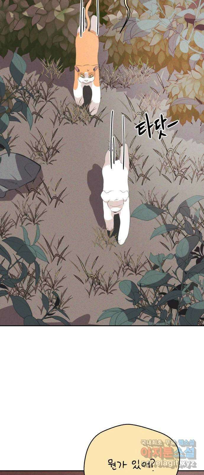 개와 사람의 시간 37화 9