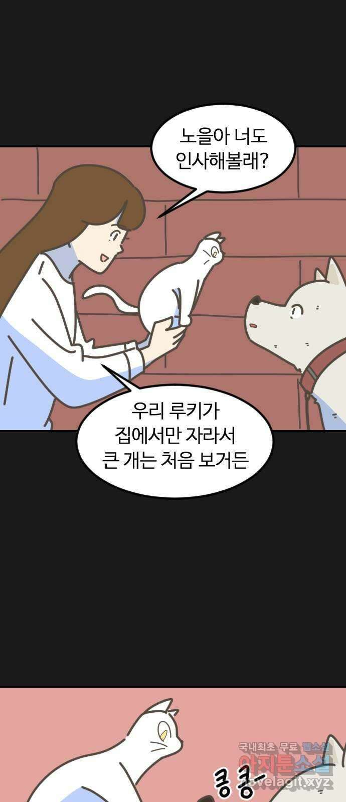 애구애구 6화 8
