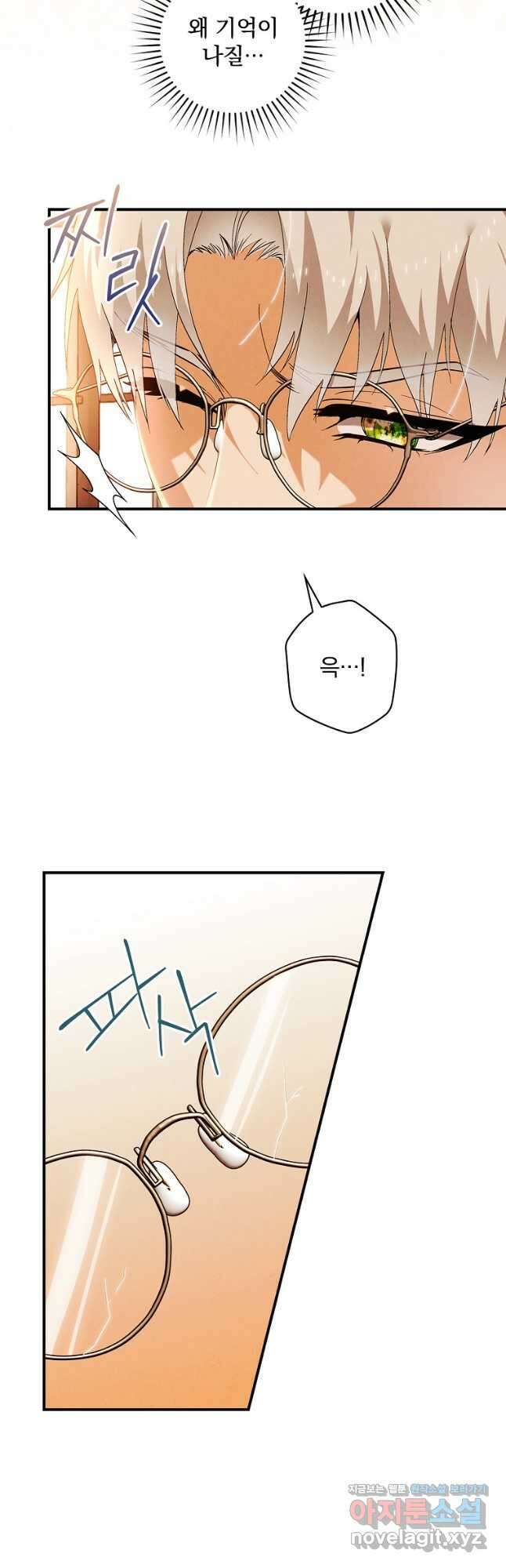 공작가의 흑막 영애님 30화 5
