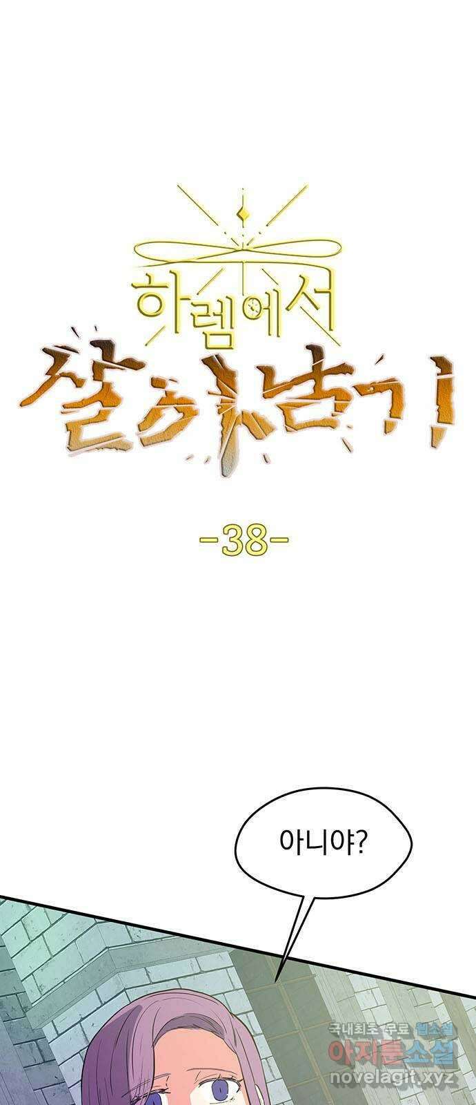 하렘에서 살아남기 38화 3