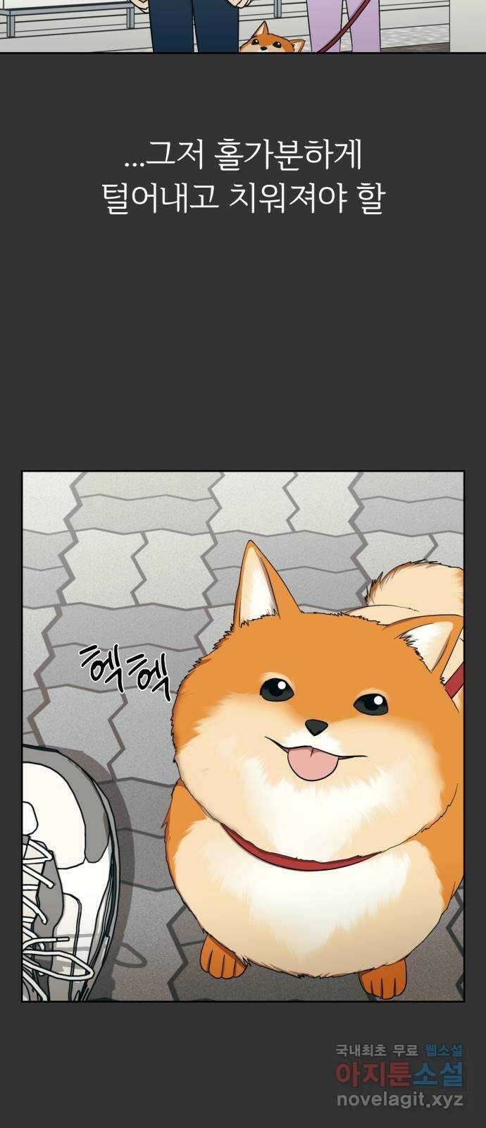 결혼까지 망상했어! 103화 현실주의자 10