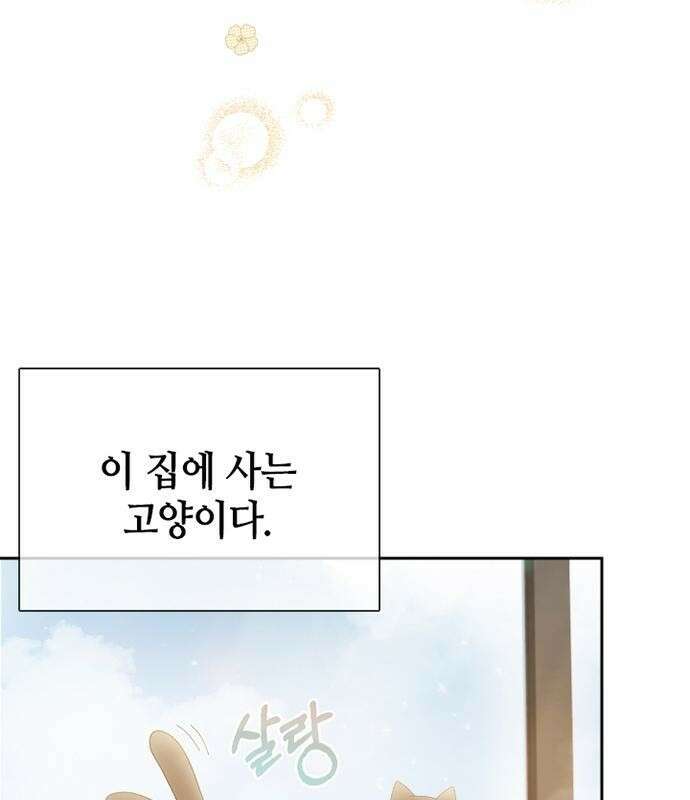 고양이 키스 프롤로그 3