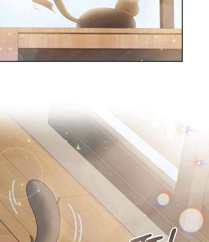 고양이 키스 프롤로그 4